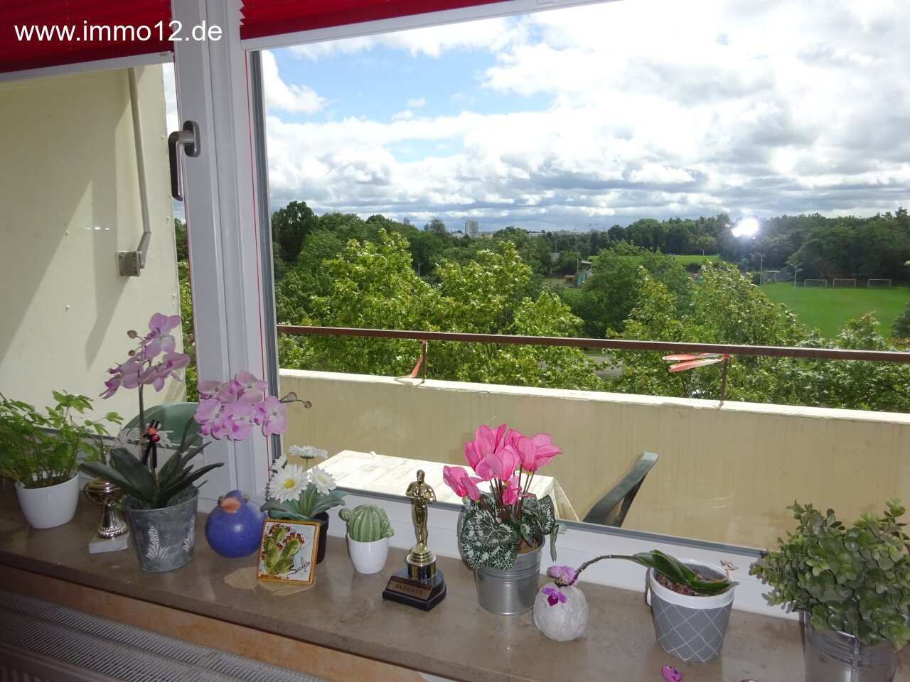 Blick von Wohnzimmer / Balkon zum Marienbergpark